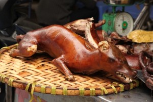 Dog meat is relatively common in Vietnam, and when grilled is called thit cho nuong