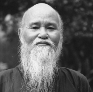 Vietnamese prisoner, Buddhist monk and dissident Thich Quang Do. Photo courtesy IBIB.