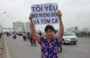 Thủ lĩnh dân oan Cấn Thị Thêu giương biểu ngữ về môi trường ở Hà Nội, tháng 6 năm 2016