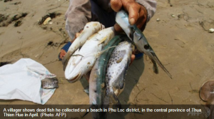 Fish die due to water polluted with toxic substances discharged by industrial plants in Vietnam
