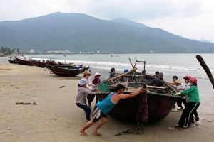 Ngư dân kéo thuyền lên bờ trên bãi biển Thọ Quang, Đà Nẵng. 