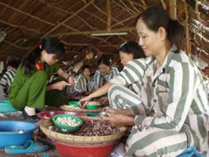 Prisoners remove shells from cashew nut under strict surveillance of a female police guard