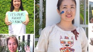 Bà Nguyễn Ngọc Như Quỳnh tức blogger Mẹ Nấm bị bắt hôm 10/10/2016 và truy tố về tội tuyên truyền chống phá nhà nước CNXHCN Việt Nam theo khoản 1 điều 88 Bộ luật hình sự