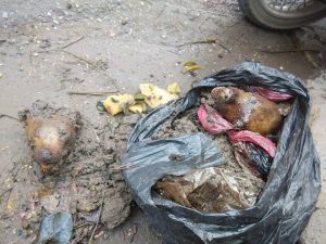 Dirty mess collected from blogger Nguyen Tuong Thuy's house after the attack